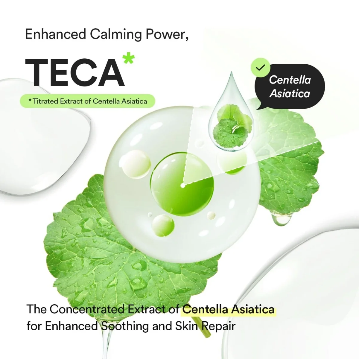 Abib Heartleaf Teca Capsule Calming Drop Serum 50ml - Image 5