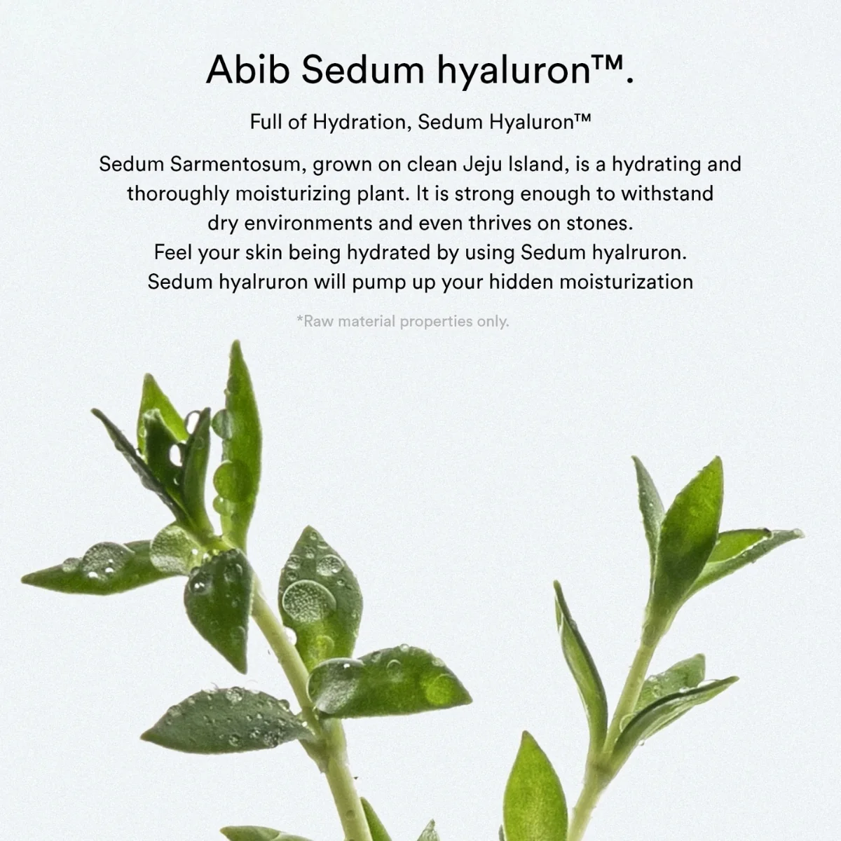 Abib Sedum Hyaluron Cream Hydrating Pot 80ml - Image 10