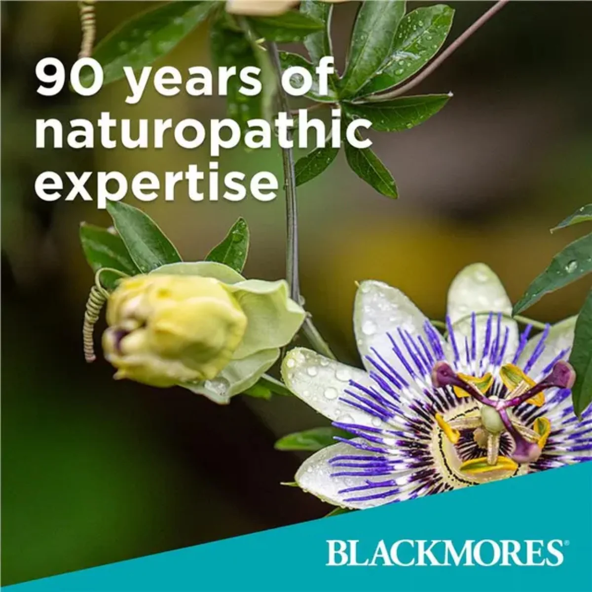 Blackmores Omega Mini Double Concentrate 200 Capsules - Image 4