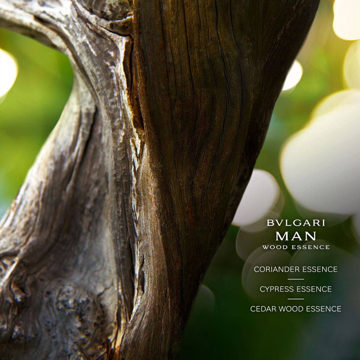 Bvlgari Man Wood Essence Eau de Parfum 100ml Refillable - Image 4