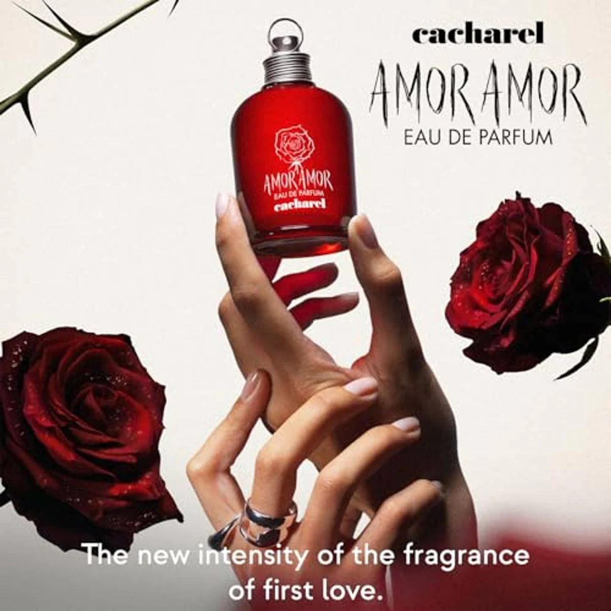Cacharel Amor Amor Eau de Parfum 100ml - Image 7