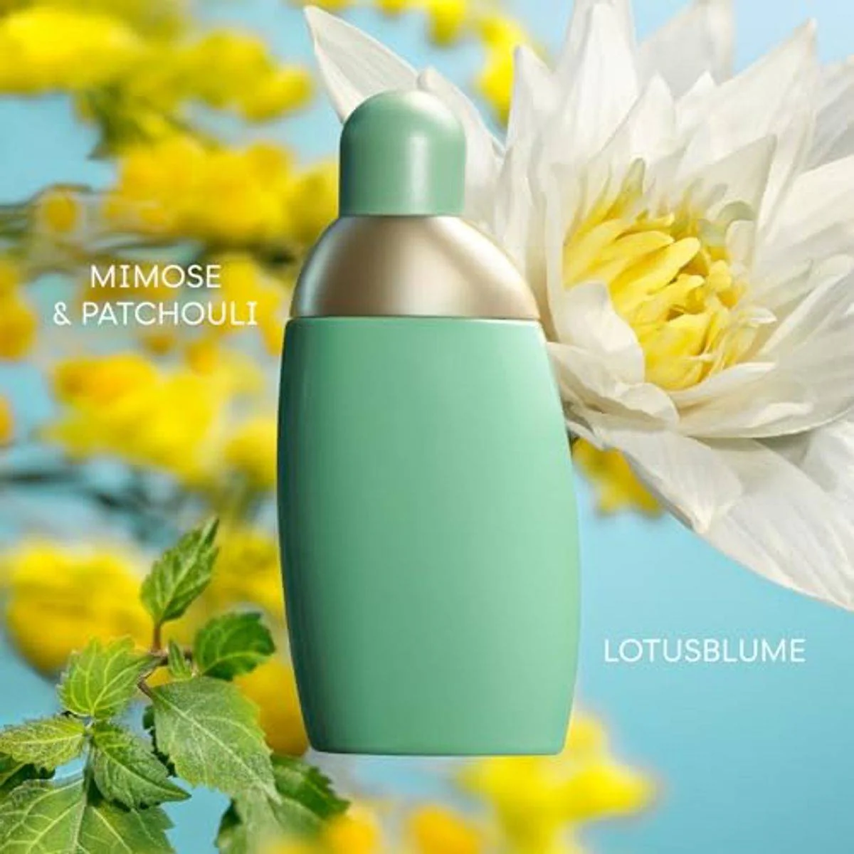 Cacharel Eden Eau de Parfum 50ml - Image 3