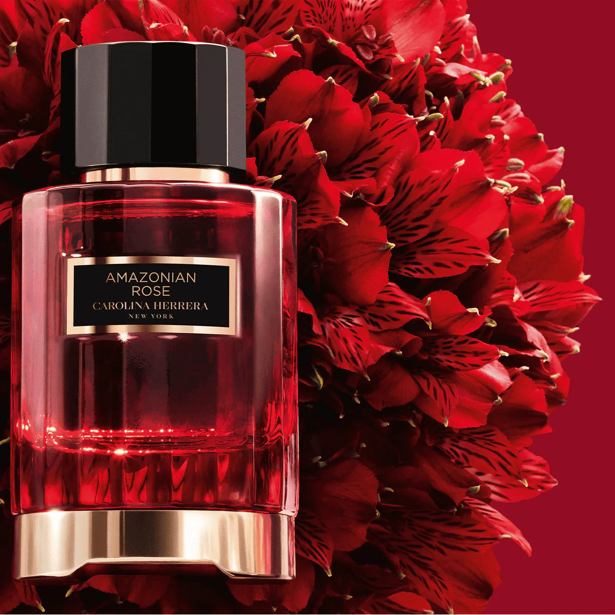 Carolina Herrera Amazonian Rose Eau de Parfum 100ml - Image 4