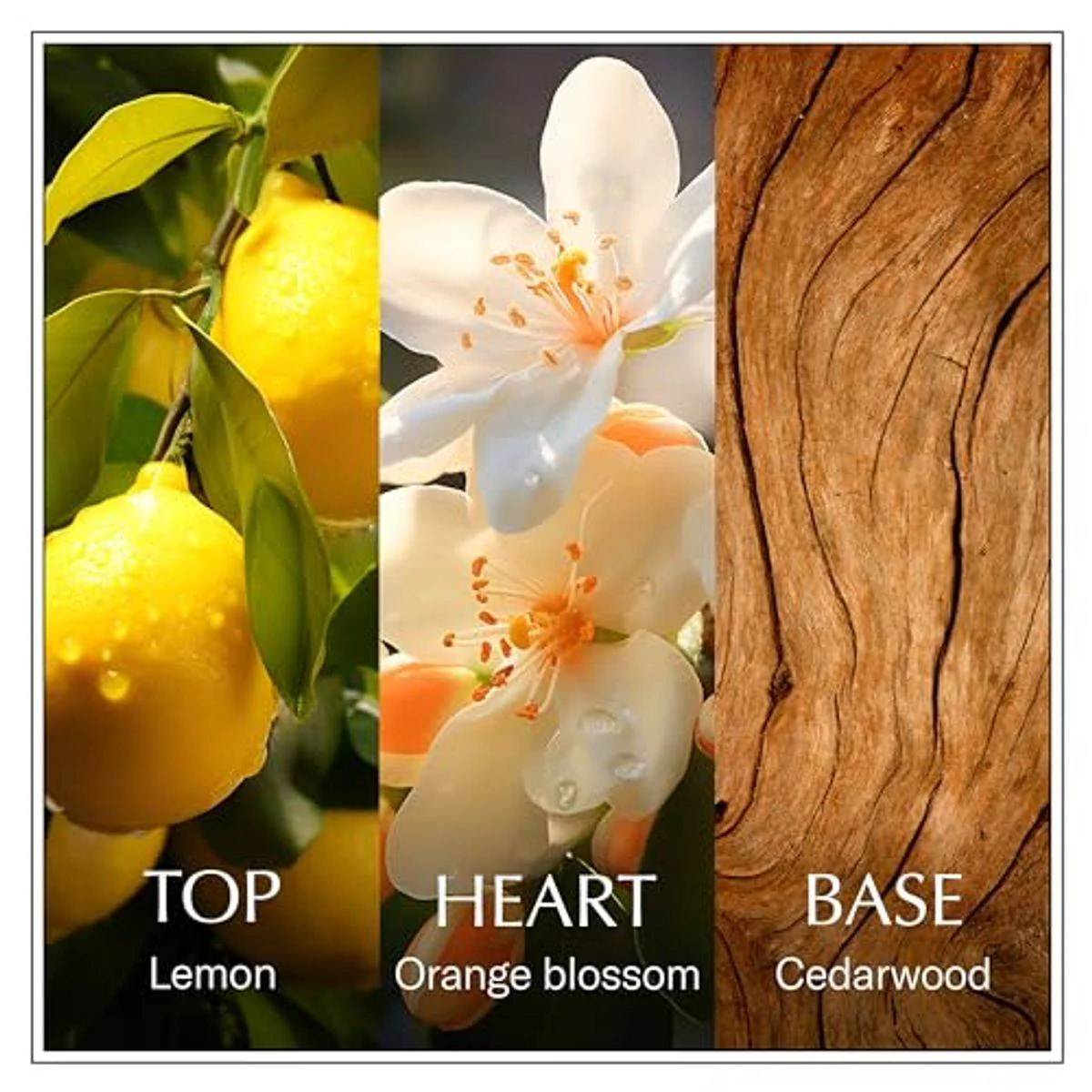 Chanson D'Eau Lemon Sicily Eau de Toilette 100ml - Image 3