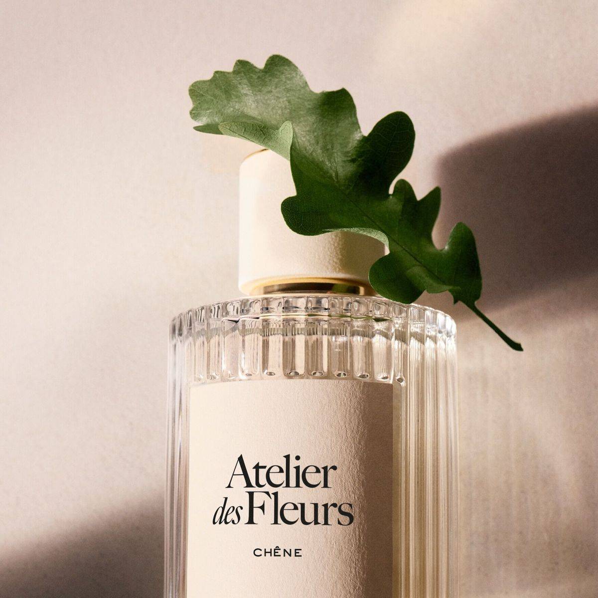 Chloe Atelier Des Fleurs Chene Eau de Parfum 150ml - Image 3