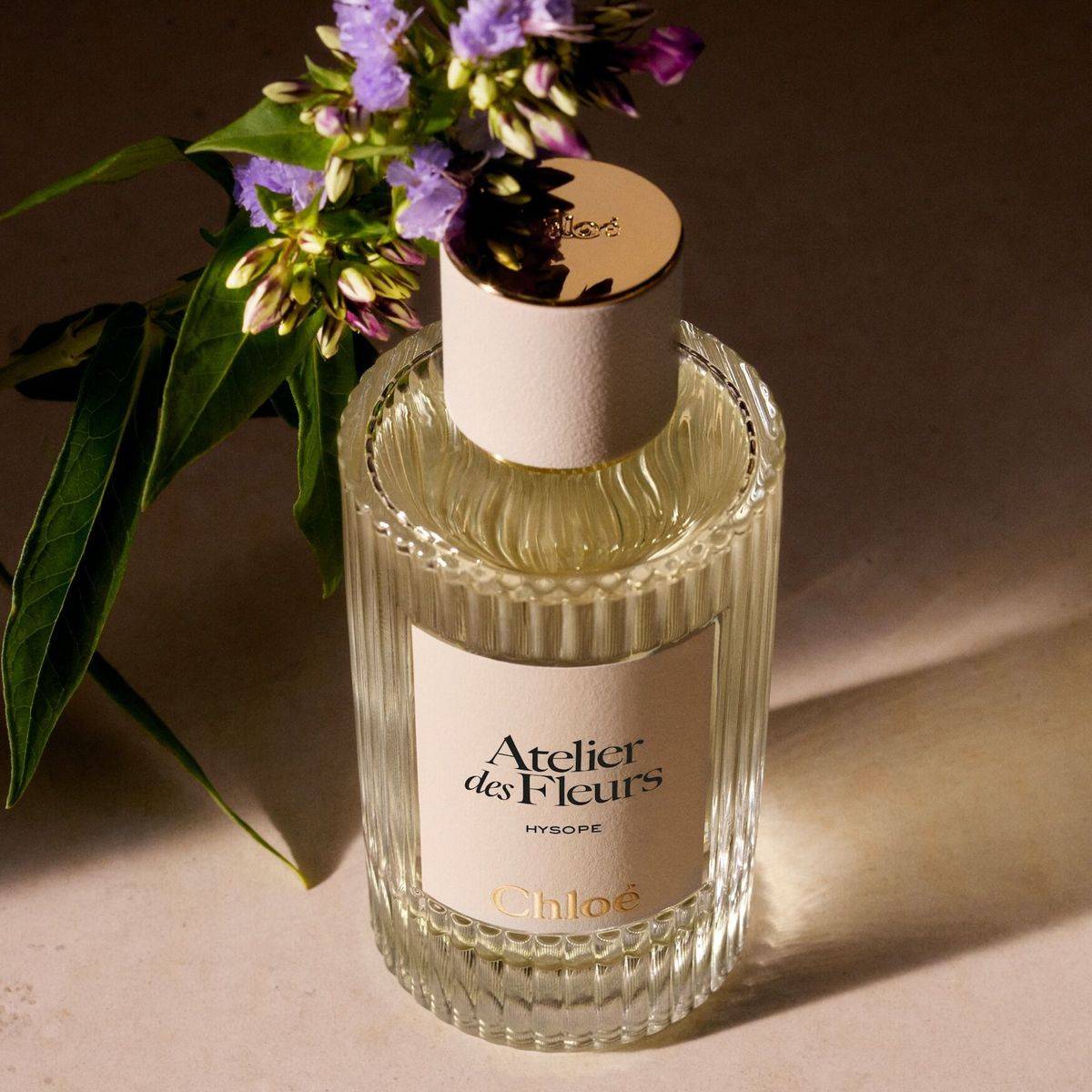 Chloe Atelier Des Fleurs Hysope Eau de Parfum 150ml - Image 2