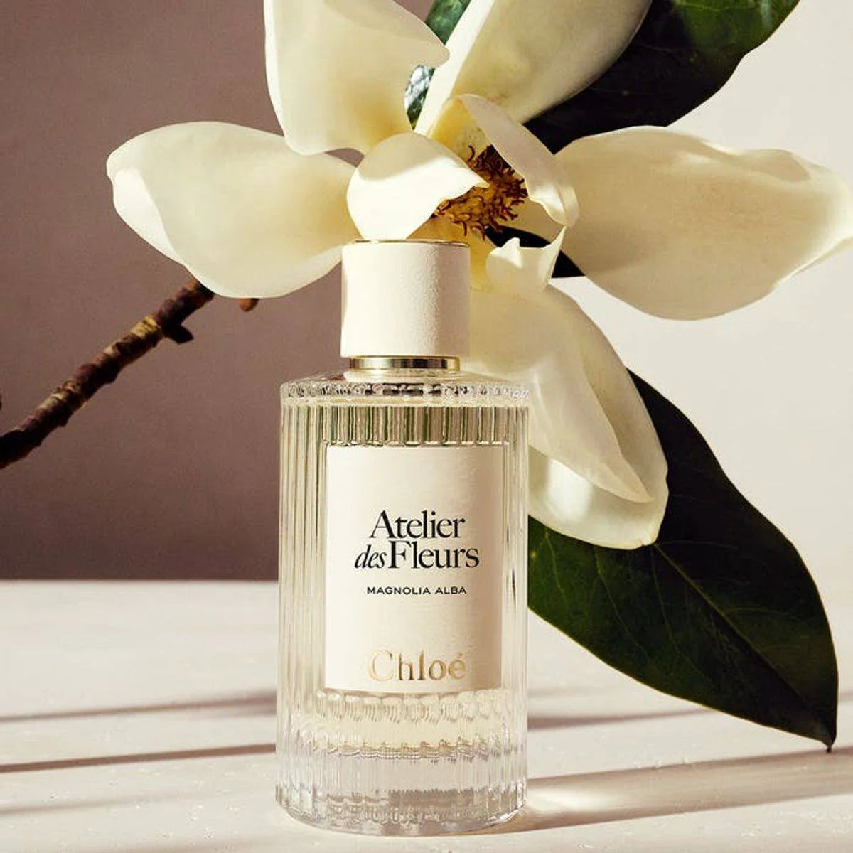 Chloe Atelier Des Fleurs Magnolia Alba Eau de Parfum 50ml - Image 2