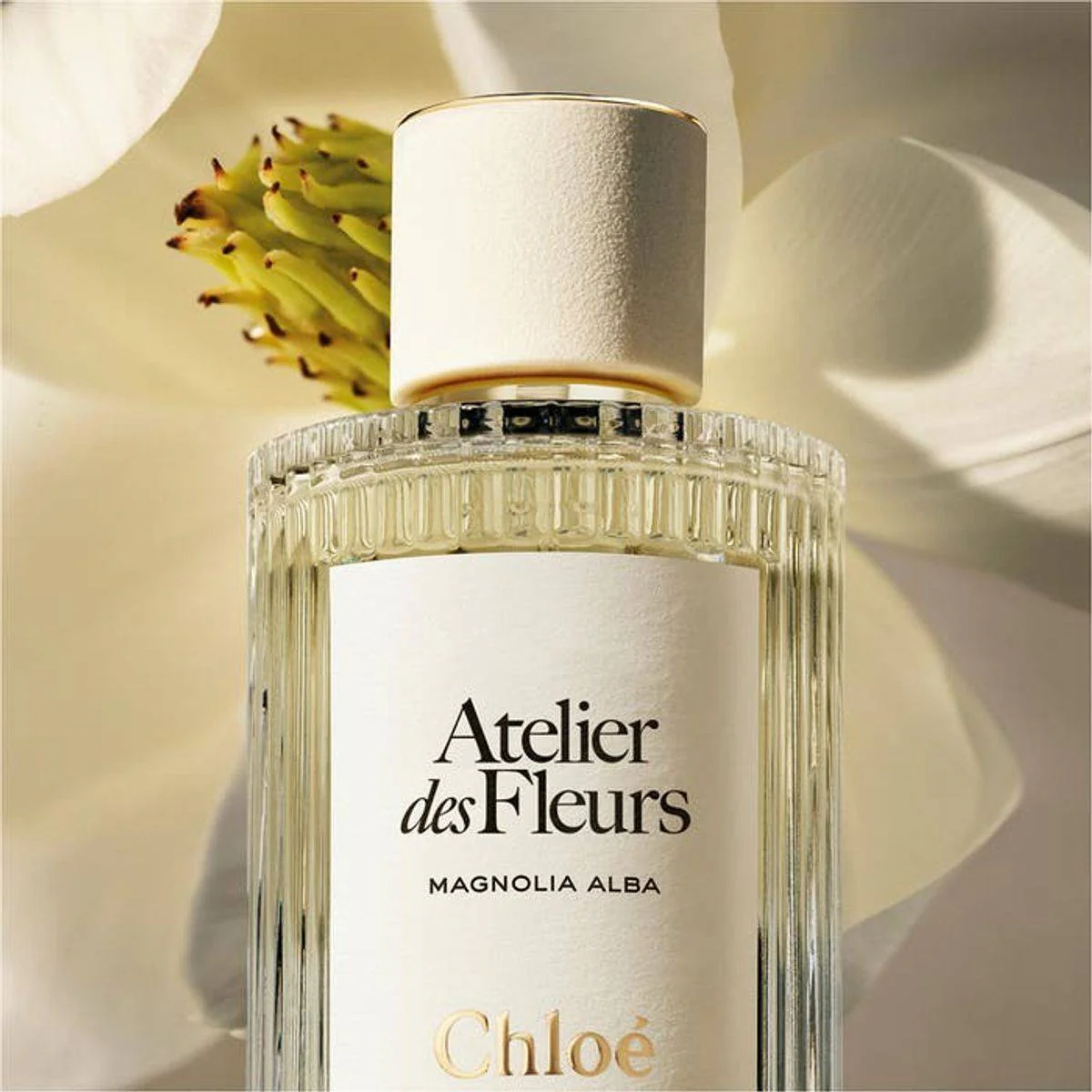 Chloe Atelier Des Fleurs Magnolia Alba Eau de Parfum 50ml - Image 3