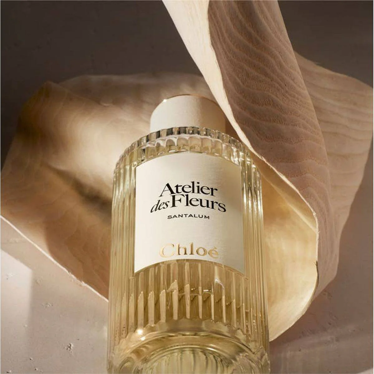 Chloe Atelier Des Fleurs Santalum Eau de Parfum 50ml - Image 2