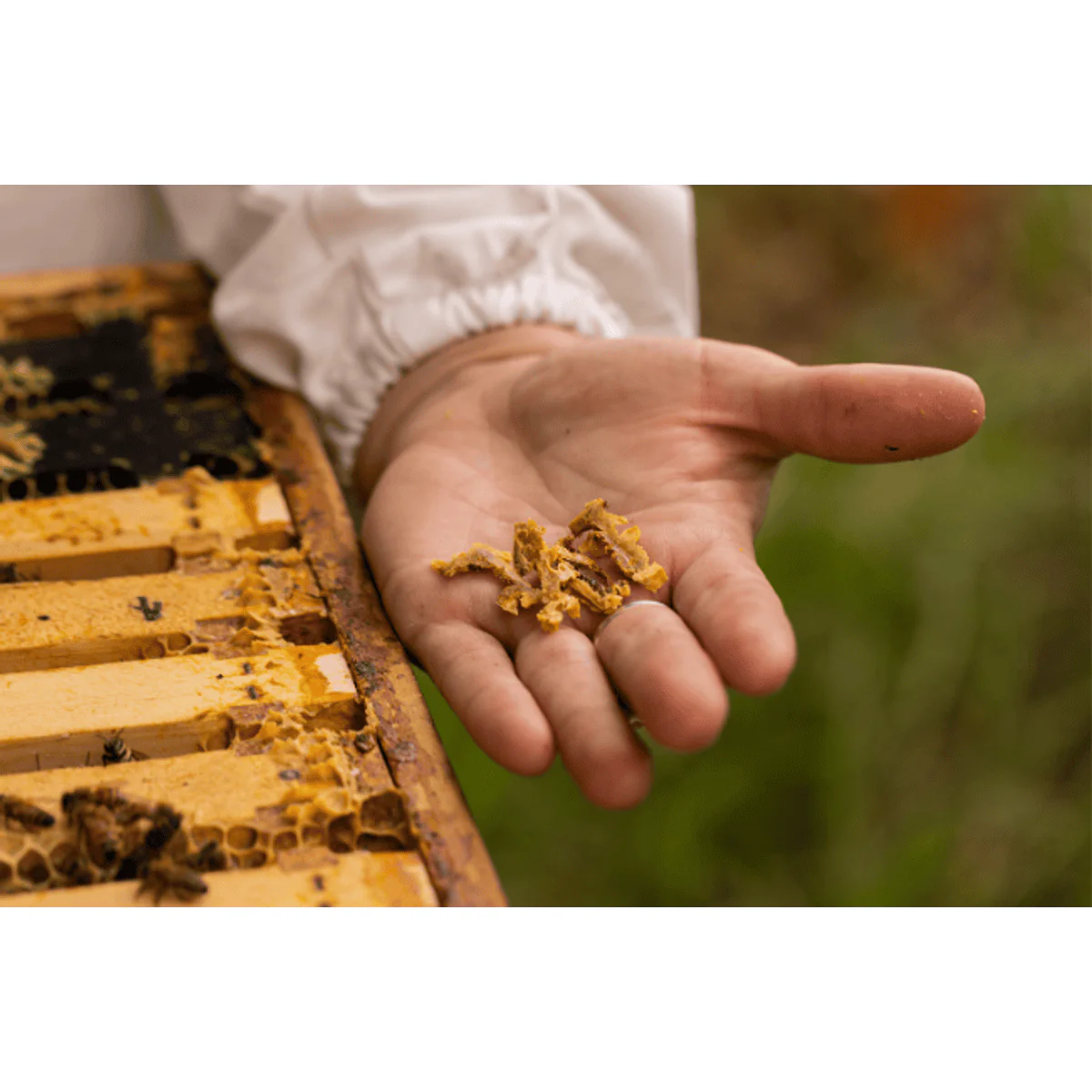 Comvita Propolis PFL 30 90 Capsules - Image 8