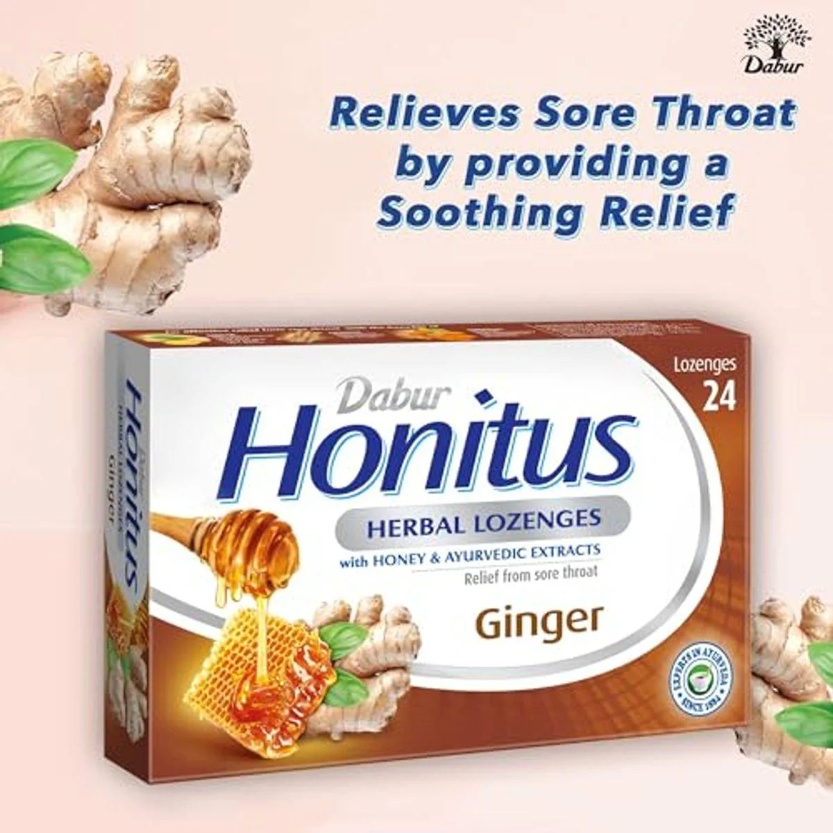 Dabur Honitus Herbal Ginger 24 Lozenges - Image 5