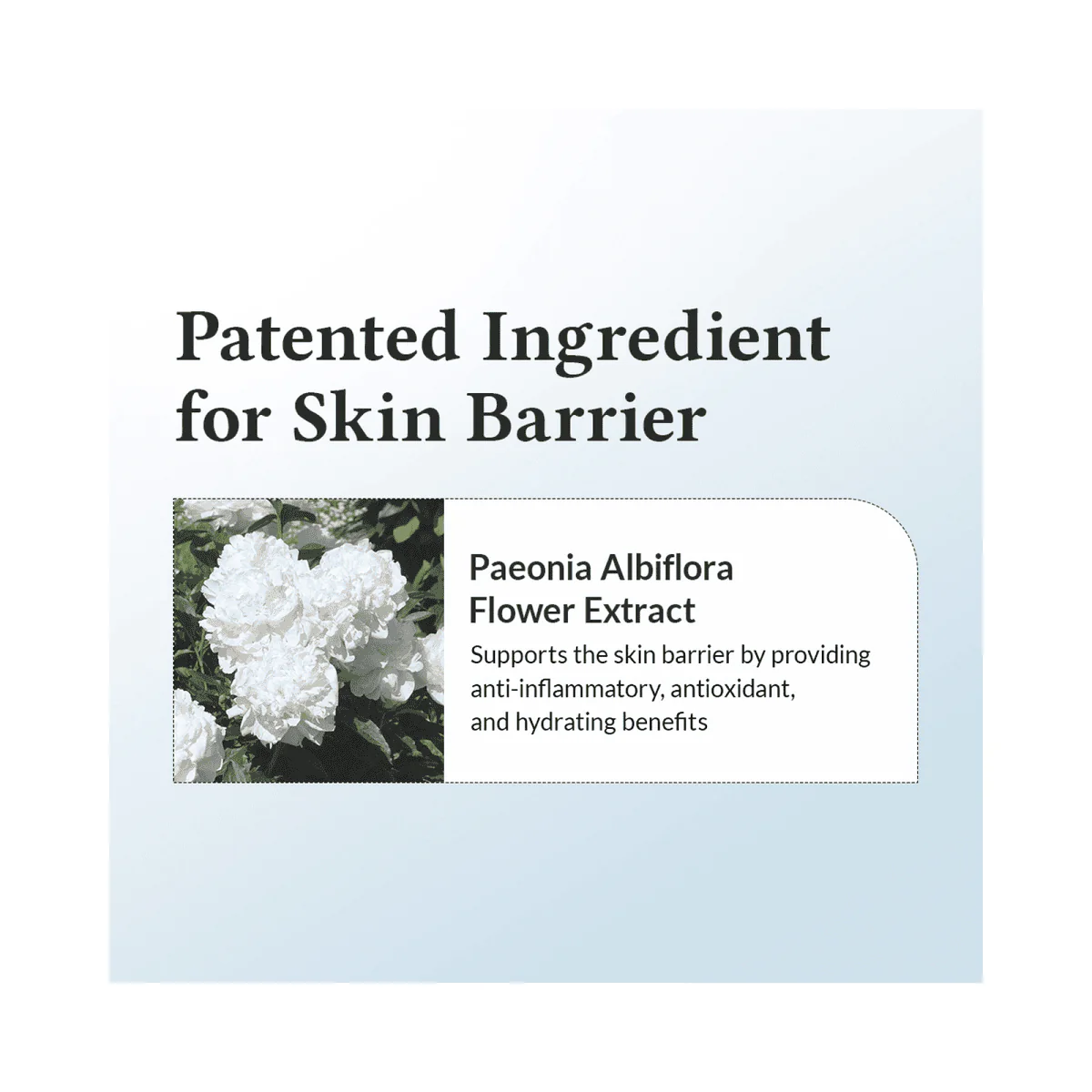 Dr. Althea 147 Barrier Cream 50ml - Image 7
