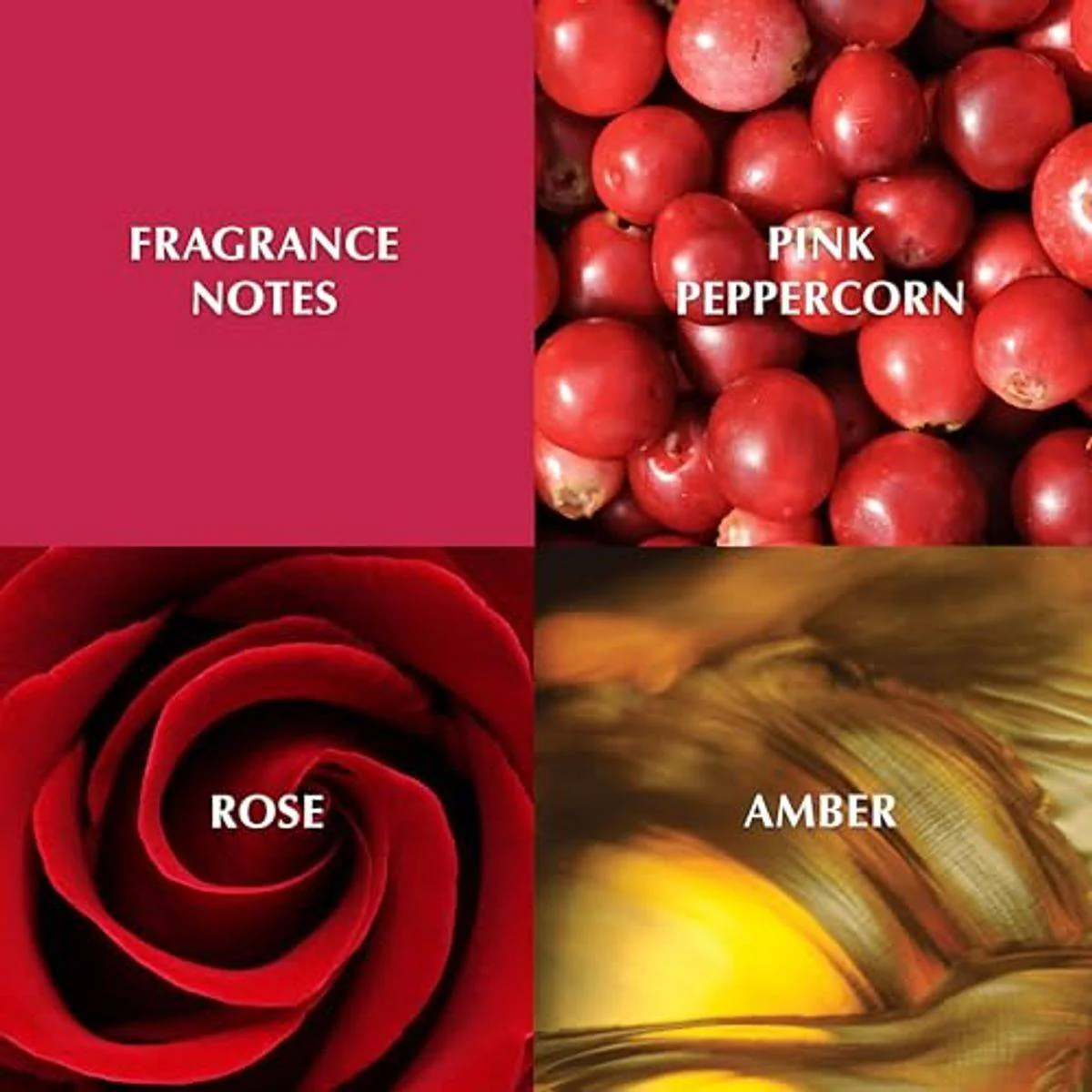 Elizabeth Taylor White Diamonds En Rouge Eau de Toilette 100ml - Image 3