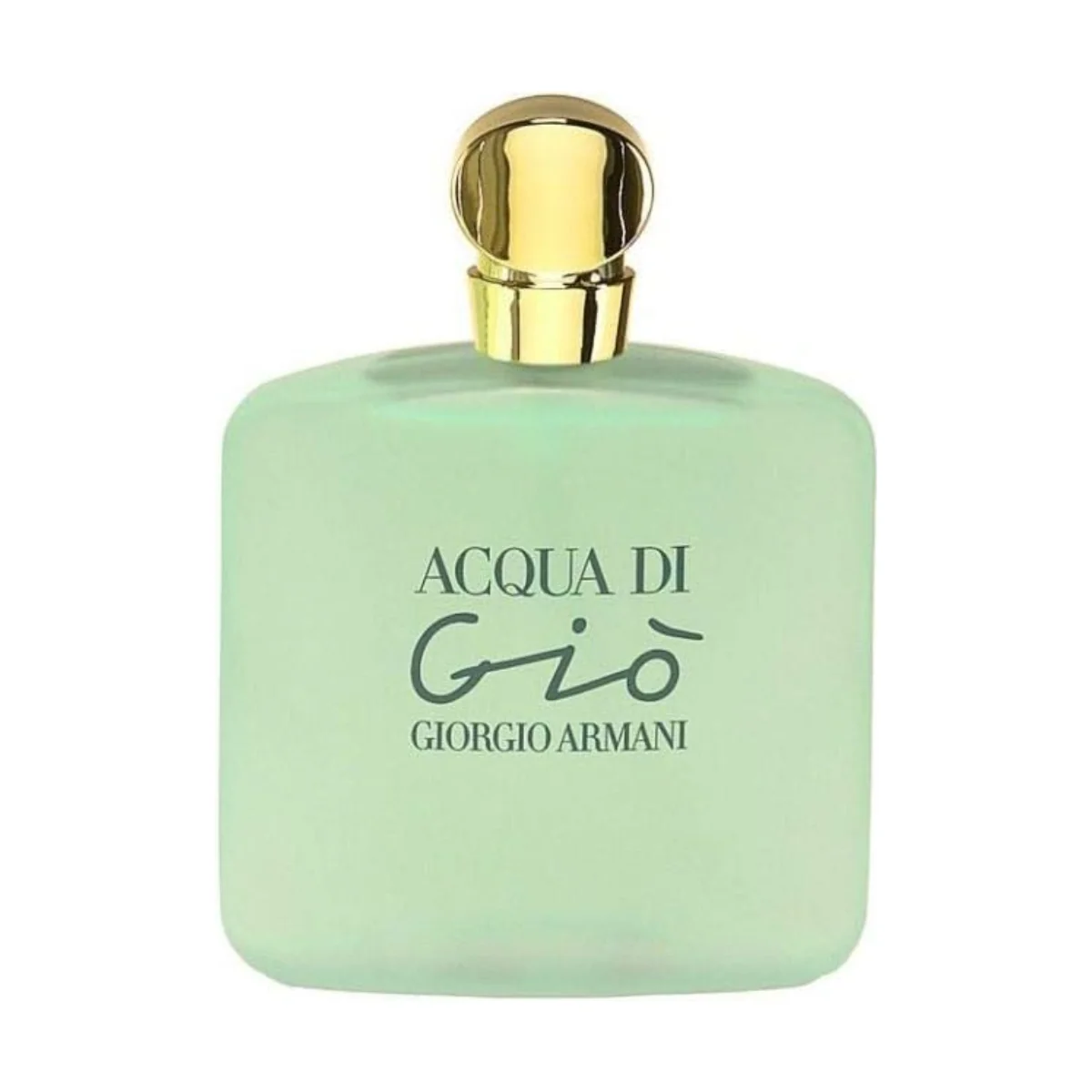 Giorgio Armani Acqua Di Gio Eau de Toilette 100ml