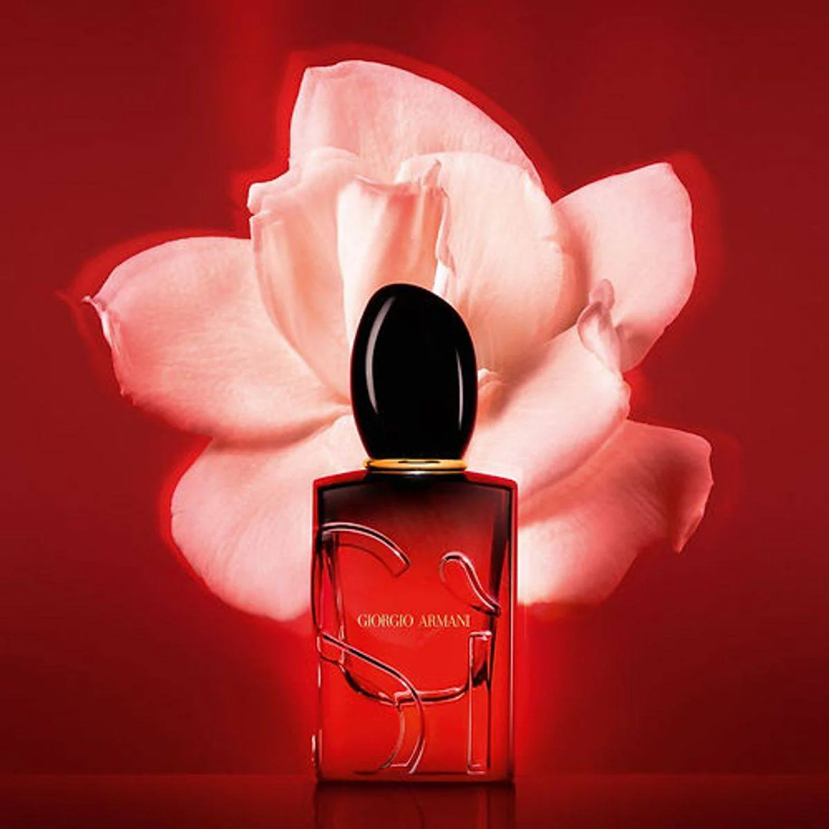 Giorgio Armani Si Passione Intense Eau de Parfum 100ml Refillable - Image 2