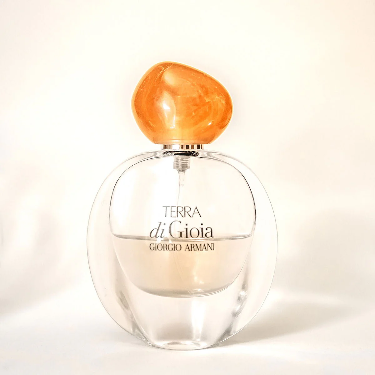 Giorgio Armani Terra Di Gioia Eau de Parfum 100ml - Image 2