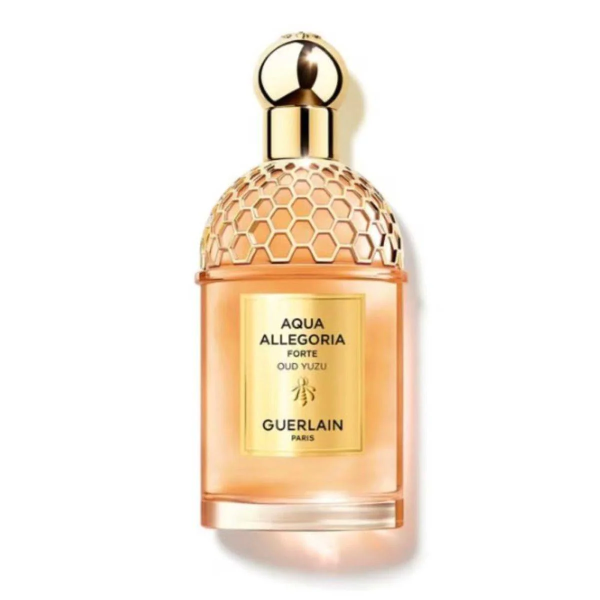 Guerlain Aqua Allegoria Forte Oud Yuzu Eau de Parfum 125ml