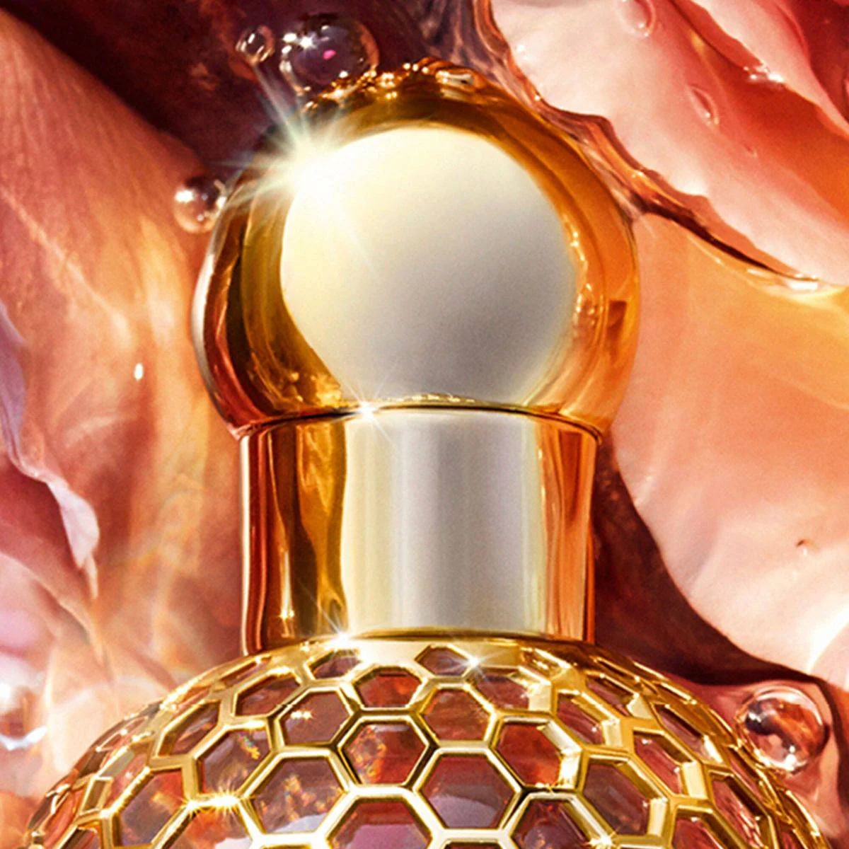 Guerlain Aqua Allegoria Forte Rosa Palissandro Eau de Parfum 125ml - Image 5