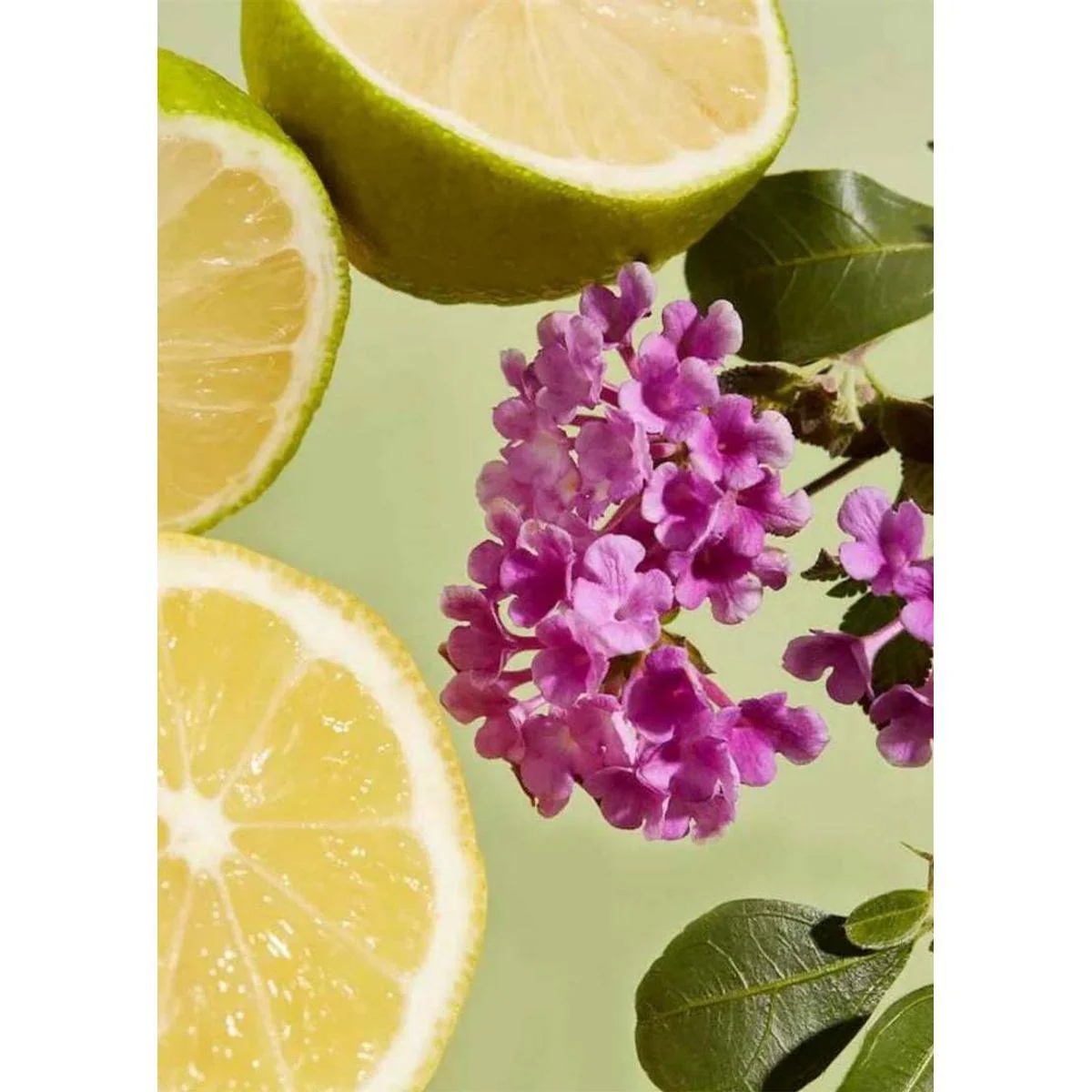 Haan Body Oil Purifying Verbena 100ml - Image 2