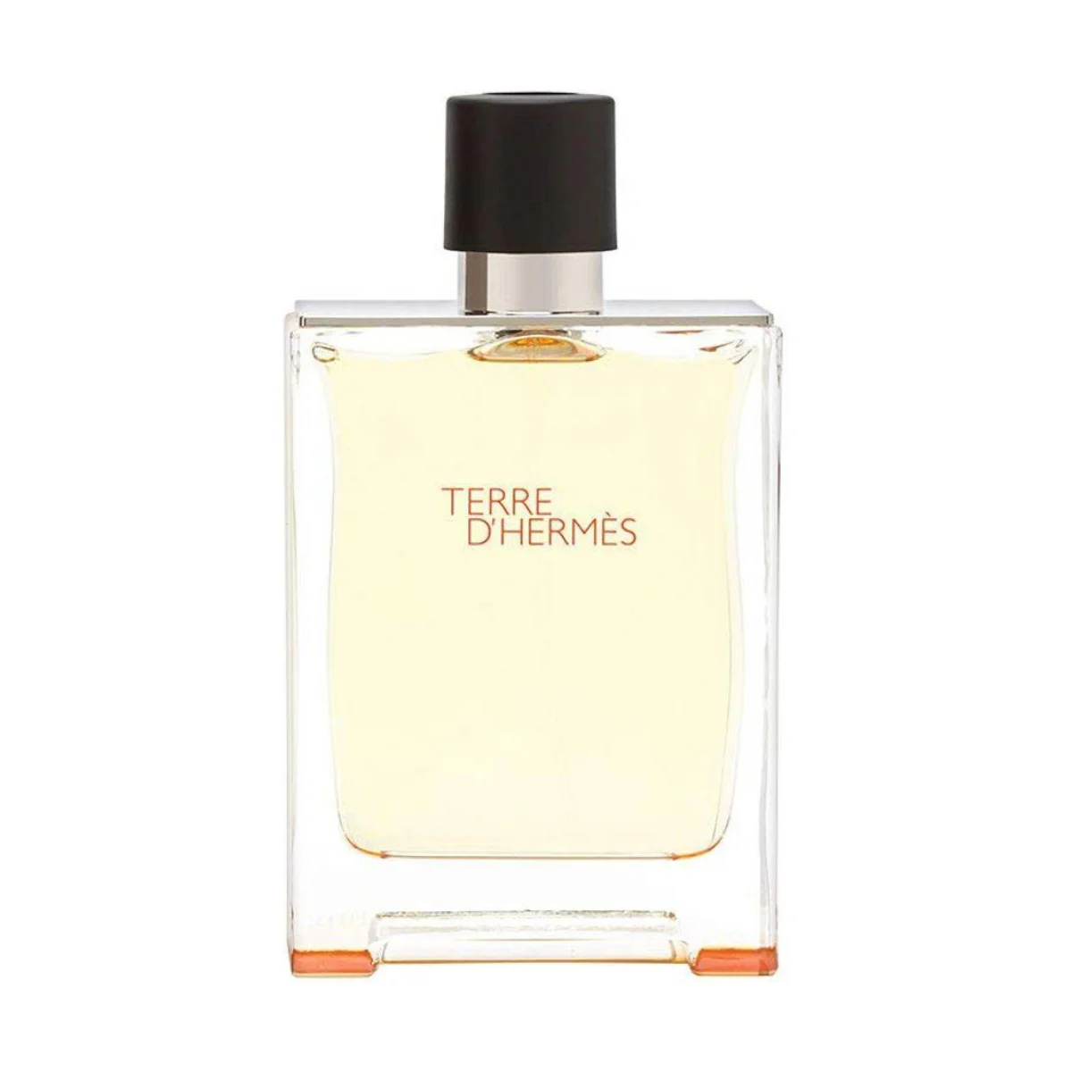 Hermes Terre D'Hermes Eau de Toilette 200ml