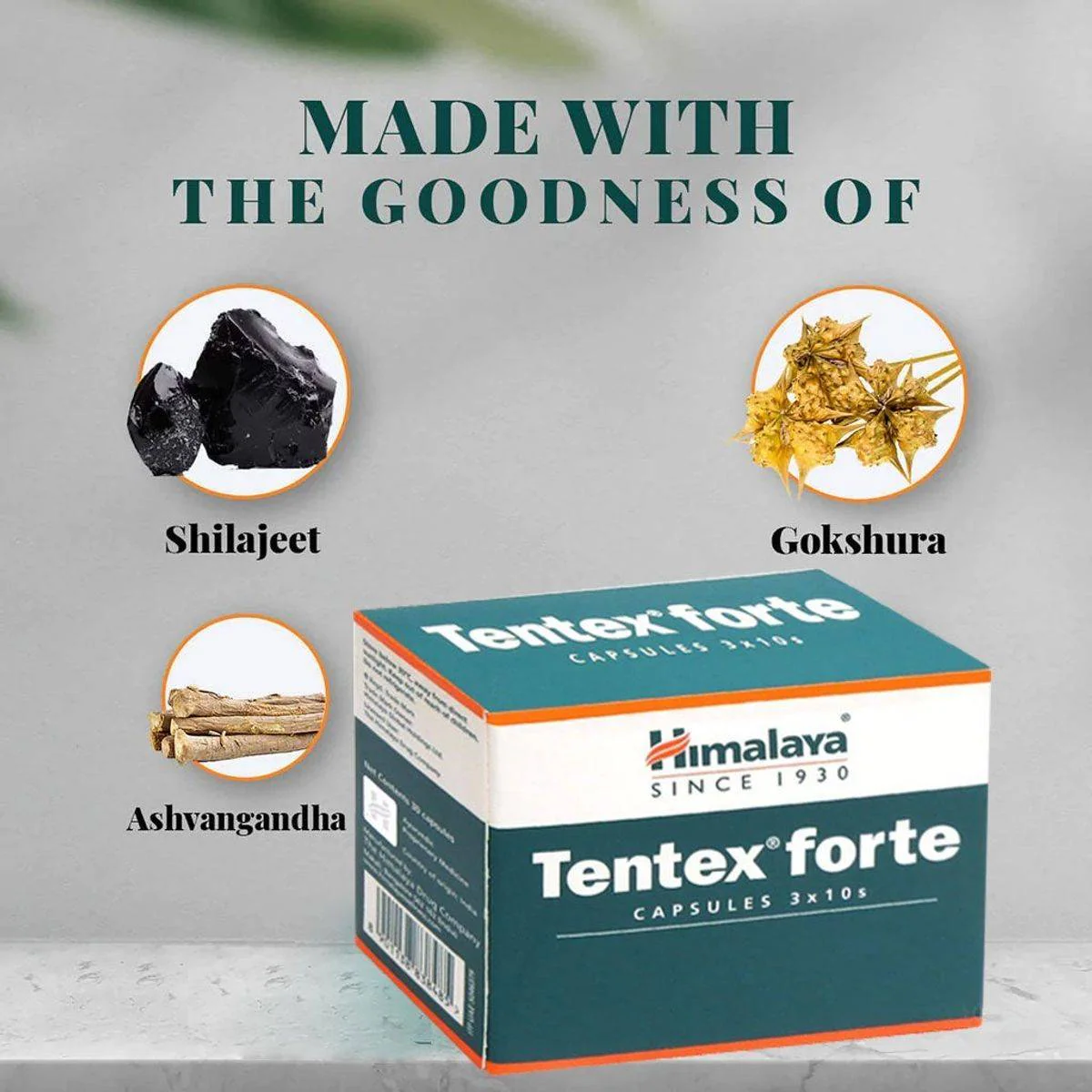 Himalaya Tentex Forte 30 Capsules - Image 3