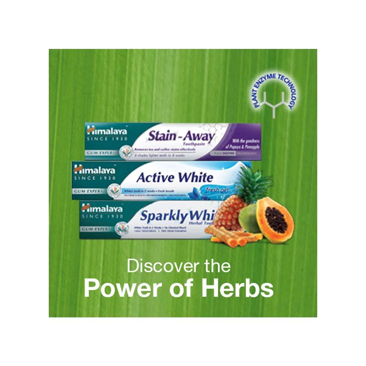 Himalaya Toothpaste Sensi Relief 100ml - Image 2