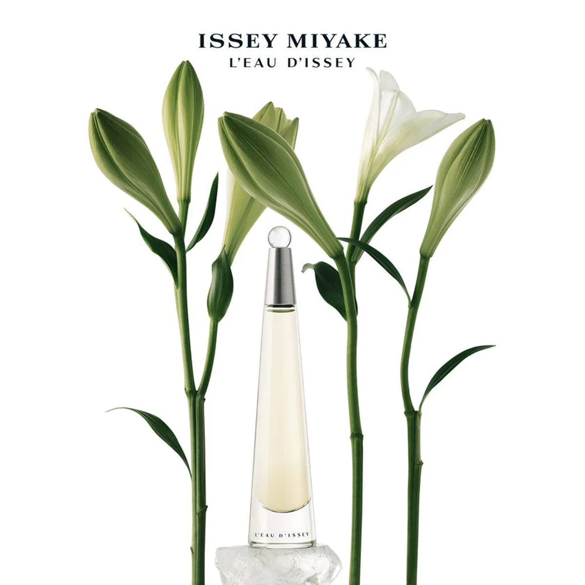 Issey Miyake L'eau D'Issey Eau de Toilette 50ml - Image 2