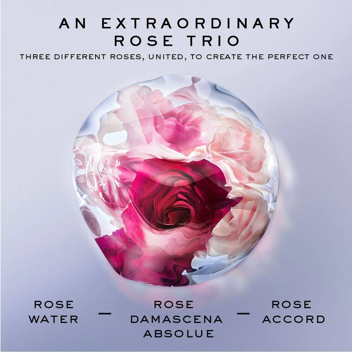 Lancome La Vie Est Belle Rose Extraordinaire Eau de Parfum Florale 50ml - Image 2