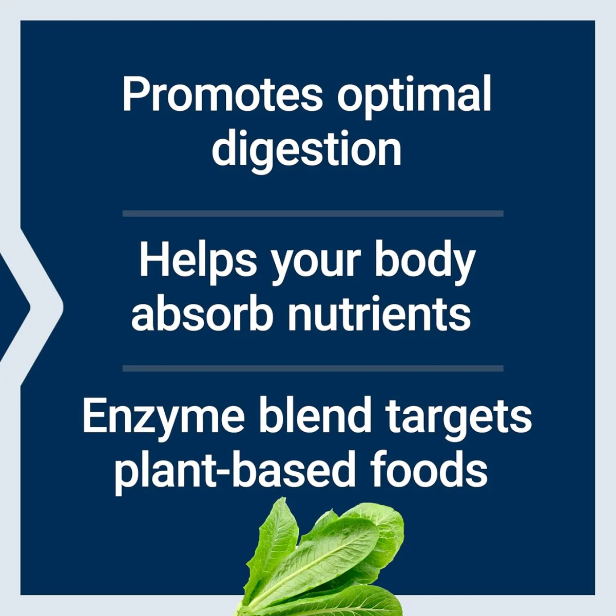 Life Extension Enhanced Super Digestive Enzymes & Probiotics 60 Vegetarian Capsules - Image 3