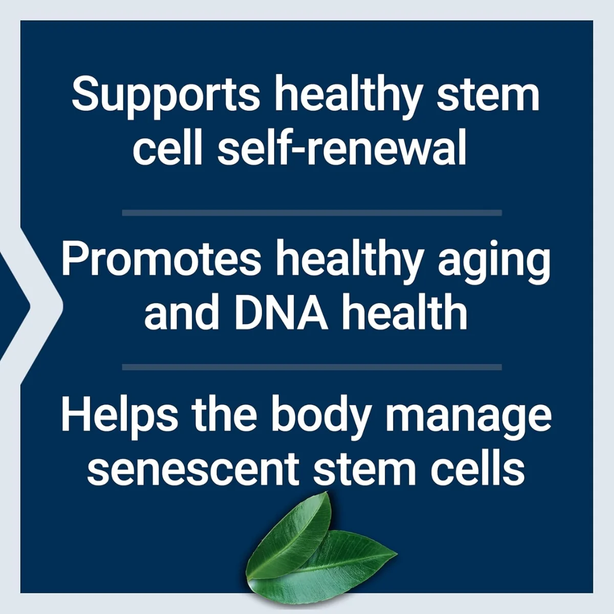 Life Extension Gero Protect Stem Cell 60 Vegetarian Capsules - Image 3