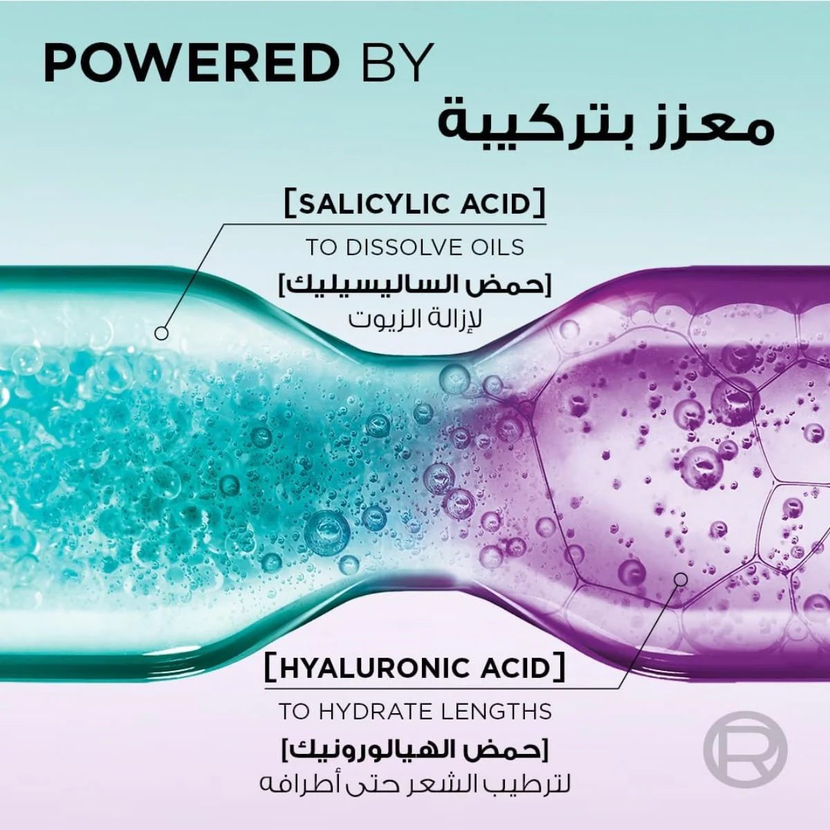 Loreal Paris Elvive Hyaluron Pure Shampoo 400ml - Image 3