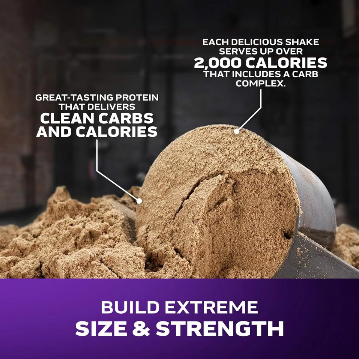 MuscleTech Mass Tech Extreme 2000 Triple Chocolate Brownie 2.72kg - Image 3