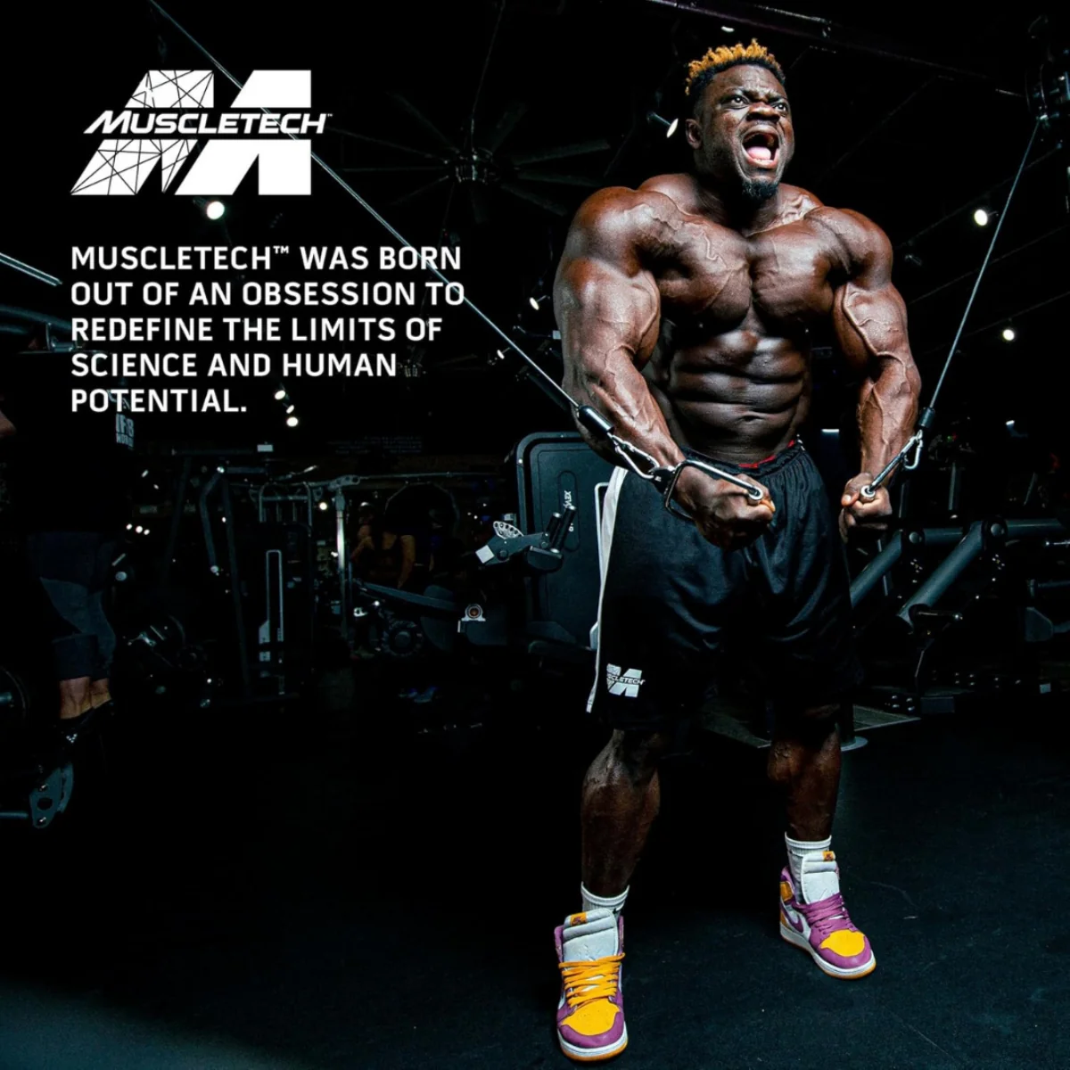 MuscleTech Mass Tech Extreme 2000 Triple Chocolate Brownie 2.72kg - Image 5