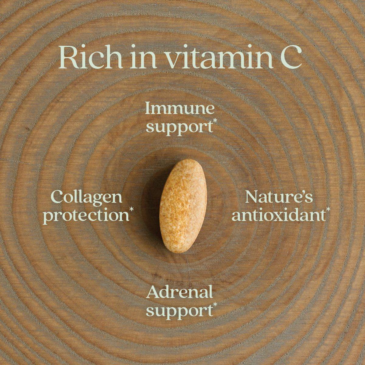 New Chapter Fermented Vitamin C 250mg 30 Tablets - Image 3