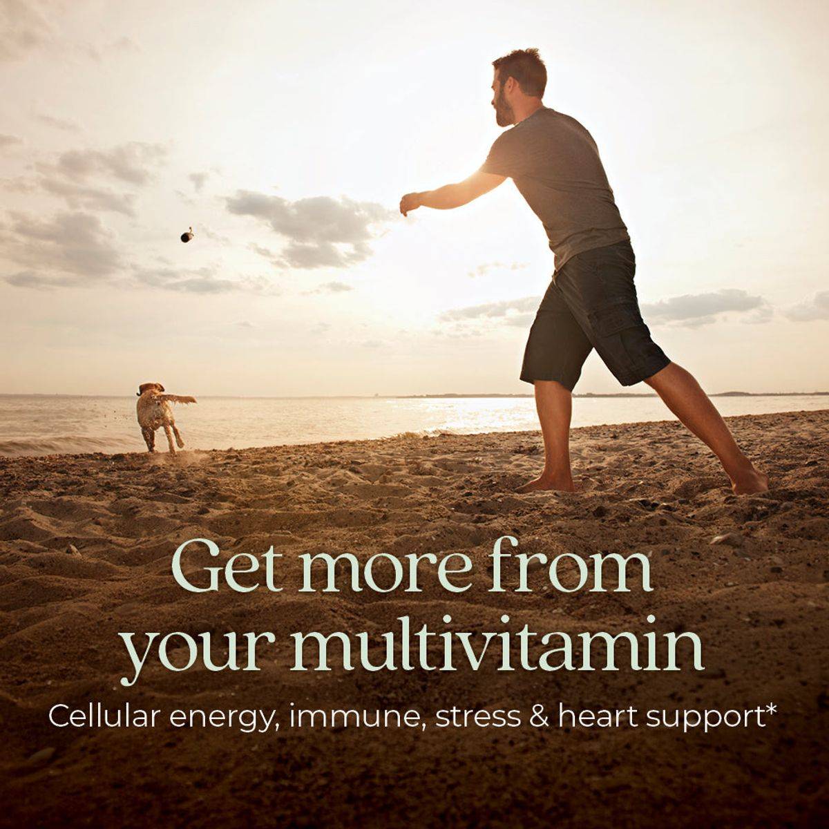 New Chapter One Daily Every Mans 18+ Multivitamin 30 Tablets - Image 2