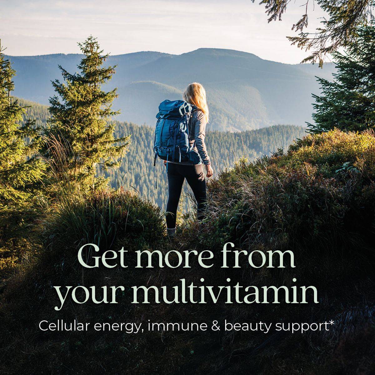New Chapter One Daily Every Womans 18+ Multivitamin 30 Tablets - Image 4