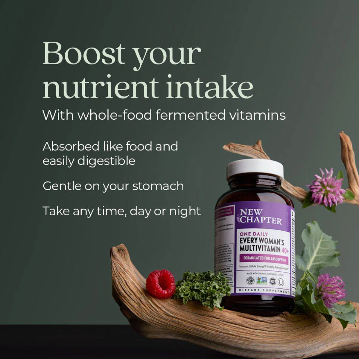 New Chapter One Daily Every Womans 40+ Multivitamin 30 Tablets - Image 3