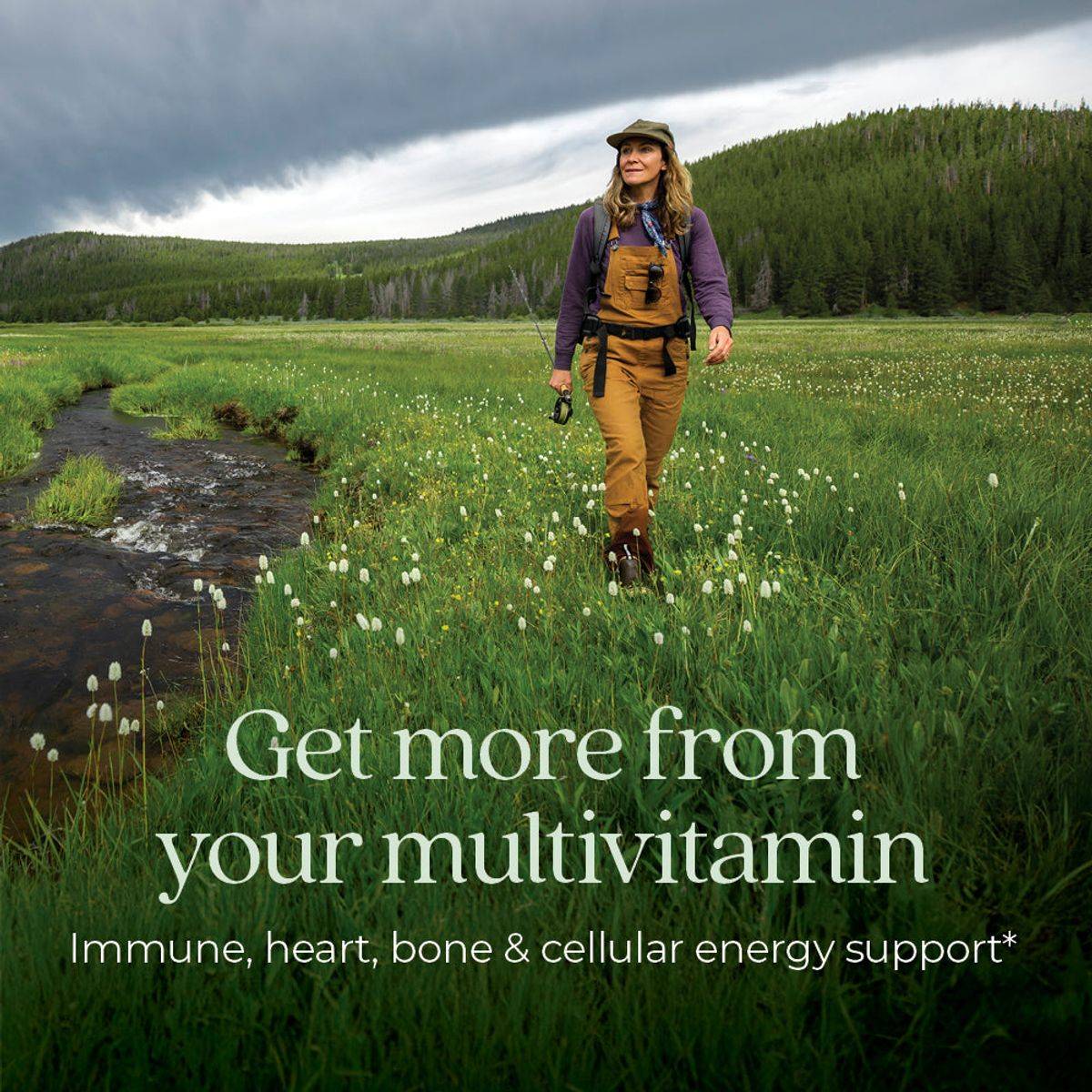 New Chapter One Daily Every Womans 55+ Multivitamin 30 Tablets - Image 5