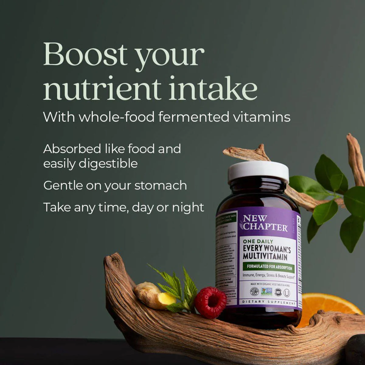 New Chapter One Daily Every Woman's Multivitamin 72 Tablets - Image 6
