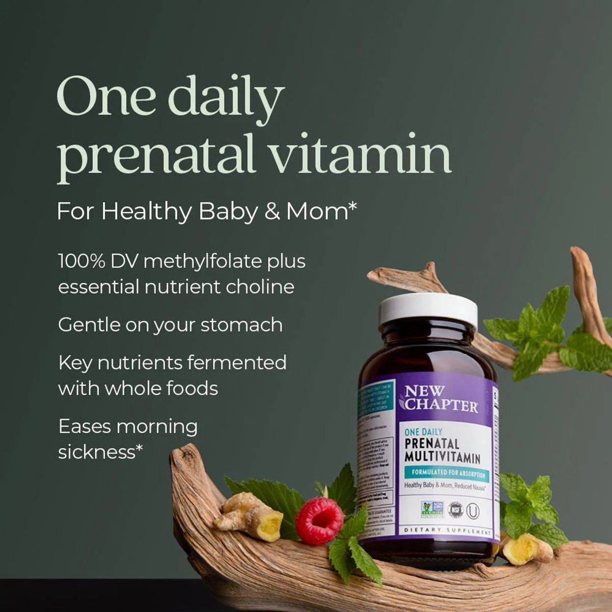 New Chapter One Daily Prenatal Multivitamin 60 Tablets - Image 5