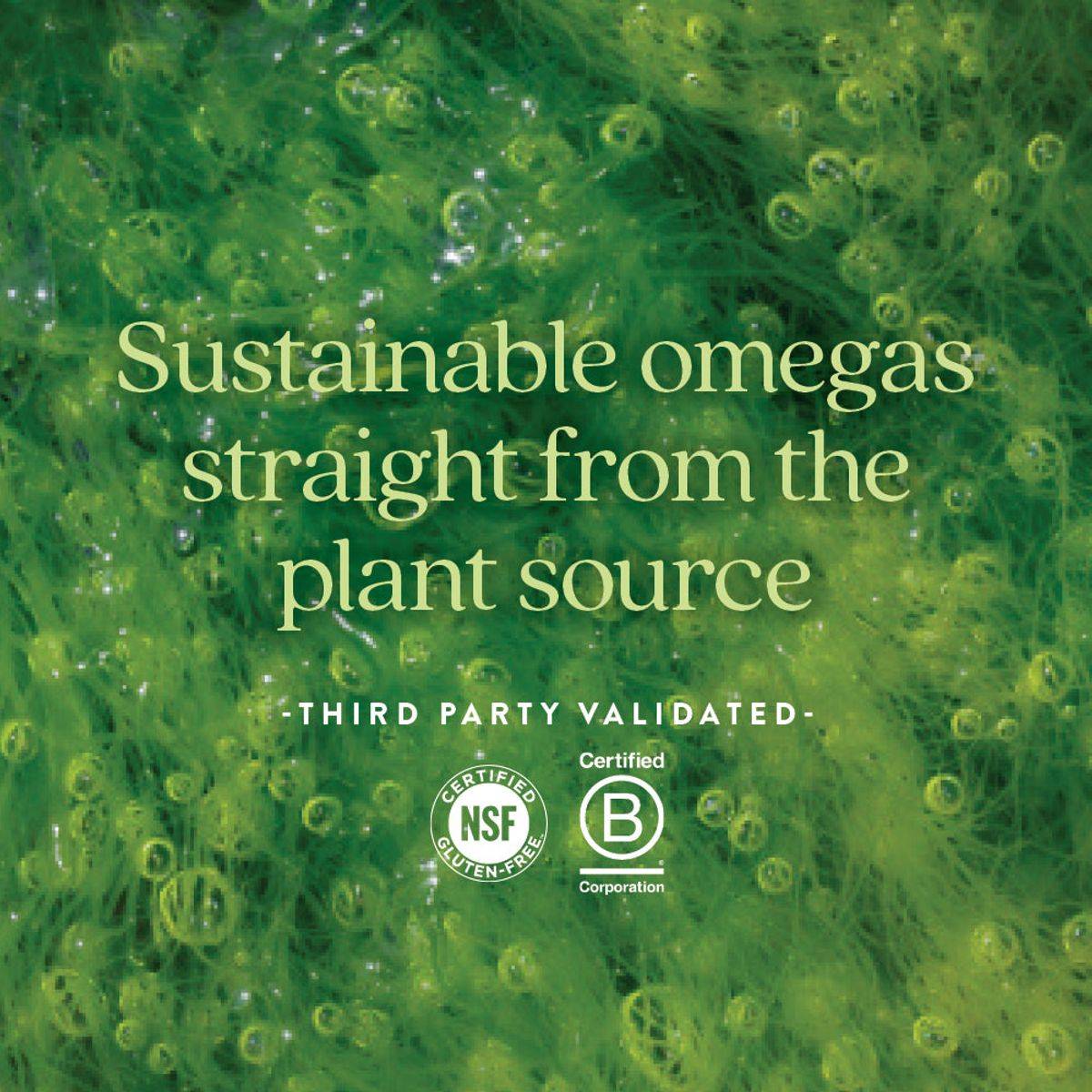 New Chapter Vegan Omega 3 Complex 30 Softgels - Image 2