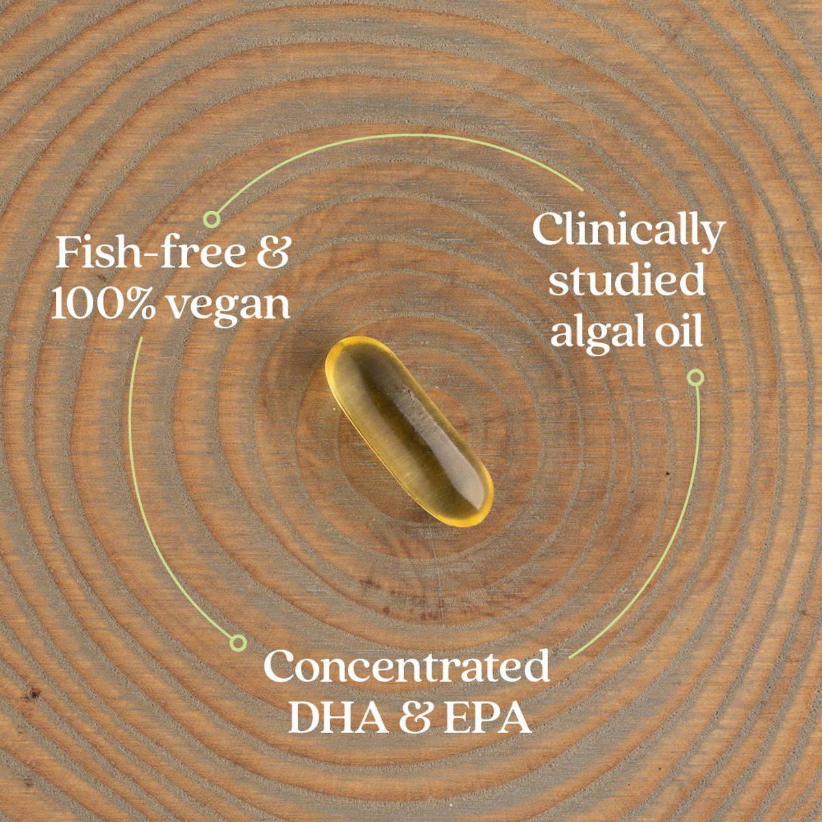 New Chapter Vegan Omega 3 Complex 30 Softgels - Image 4