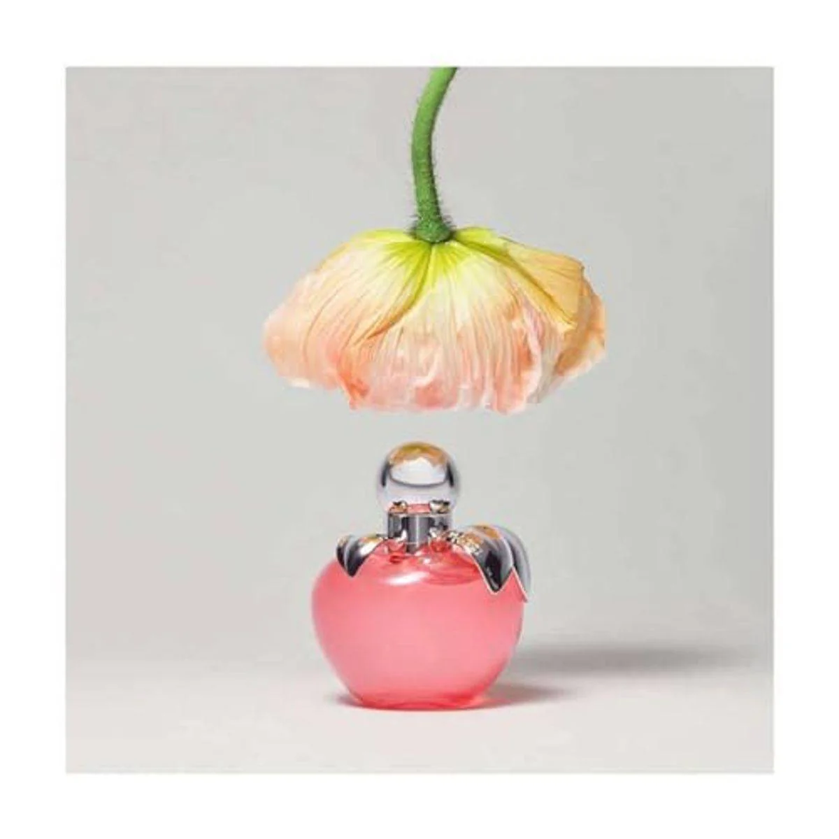 Nina Ricci Nina Les Belles De Nina Eau de Toilette 80ml - Image 4