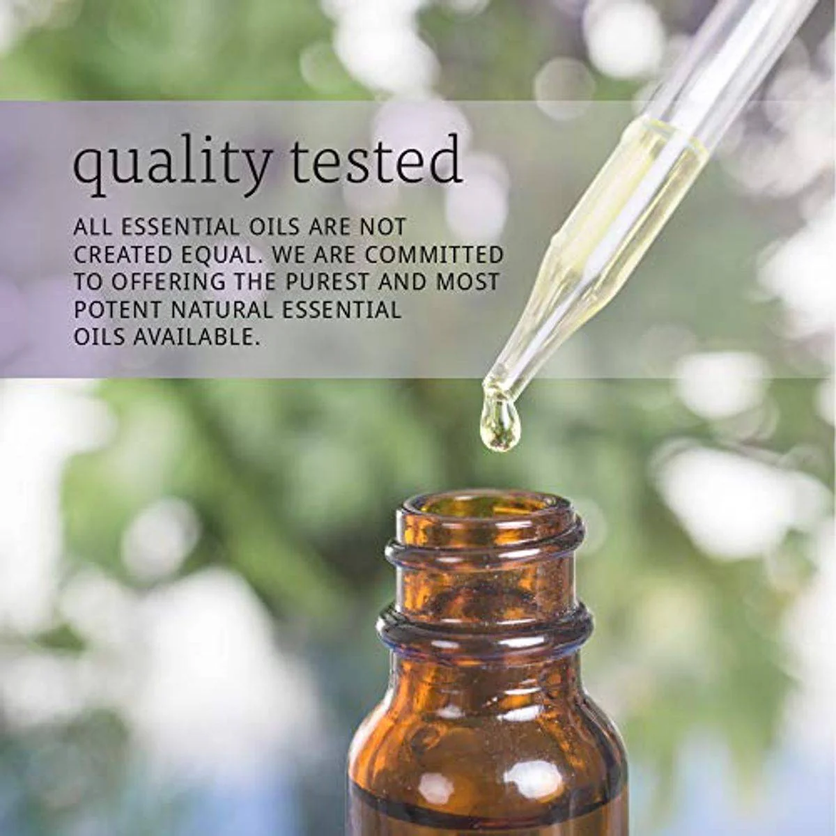 Now Essential Oil 100% Pure Organic Rosemary 30ml - Image 2
