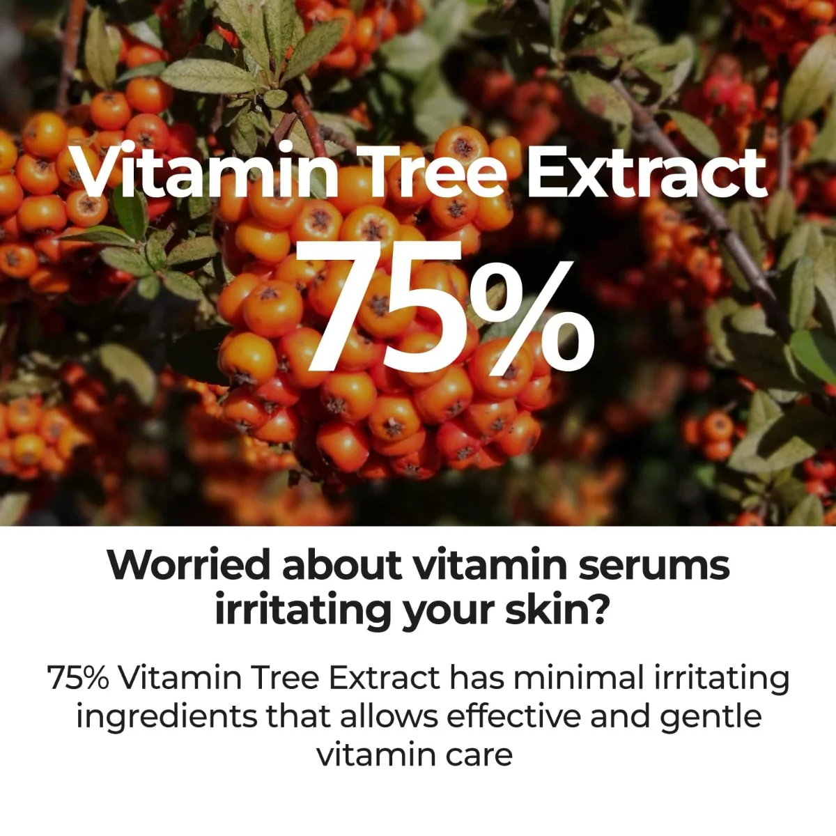 Numbuzin 5 Goodbye Blemish Serum 50ml - Image 5