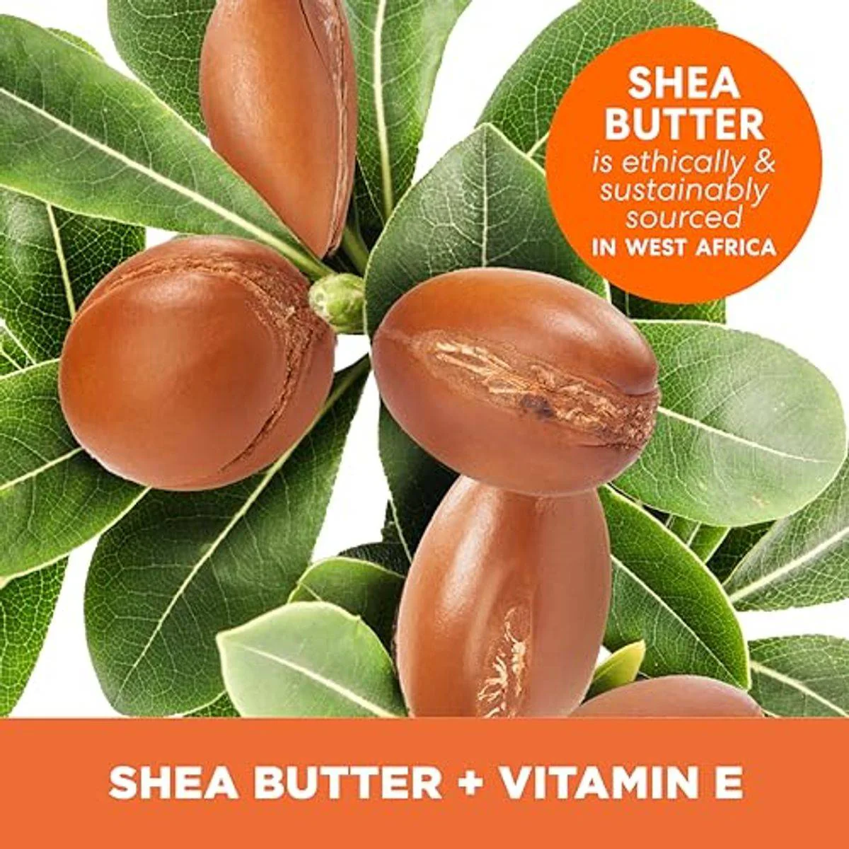 Palmers Shea Butter Formula Body Lotion 250ml - Image 2