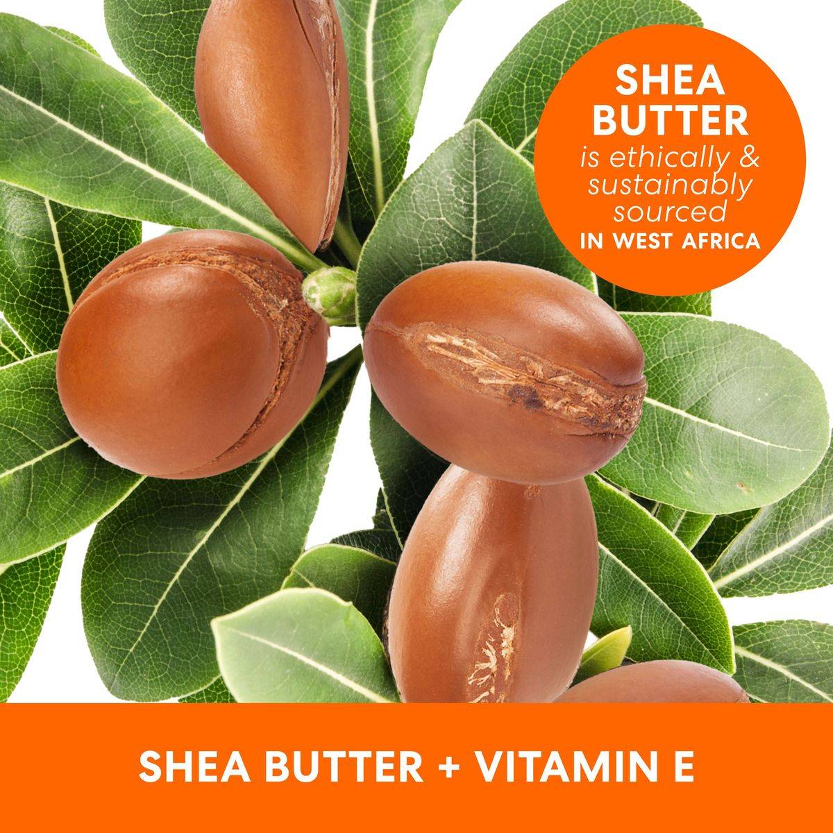 Palmers Shea Butter Formula With Vitamin E Raw Shea Nourish Body Oil 250ml - Image 5