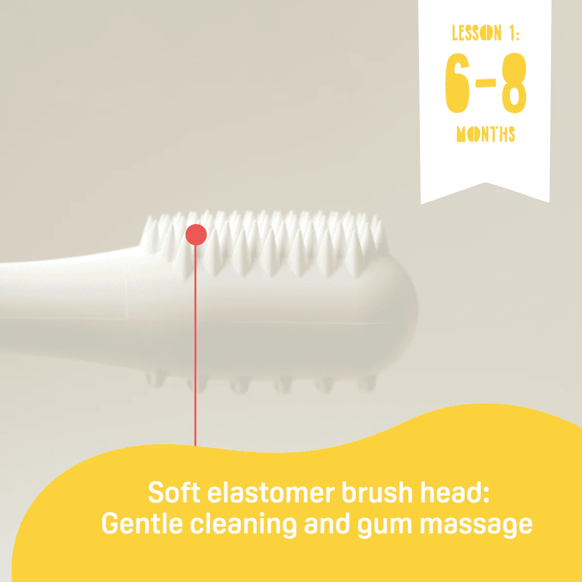 Pigeon Trainer Toothbrush Set - Image 2