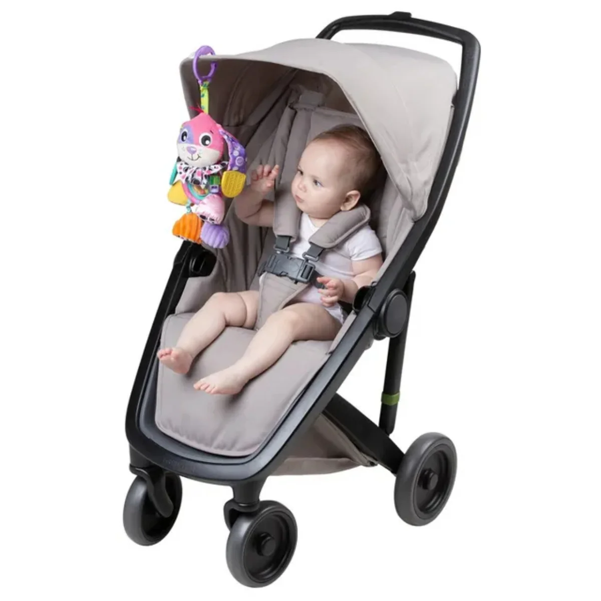 Playgro On The Go Activity Friend Dixie Dog 0 Month+ Clip-On Toy - Image 5