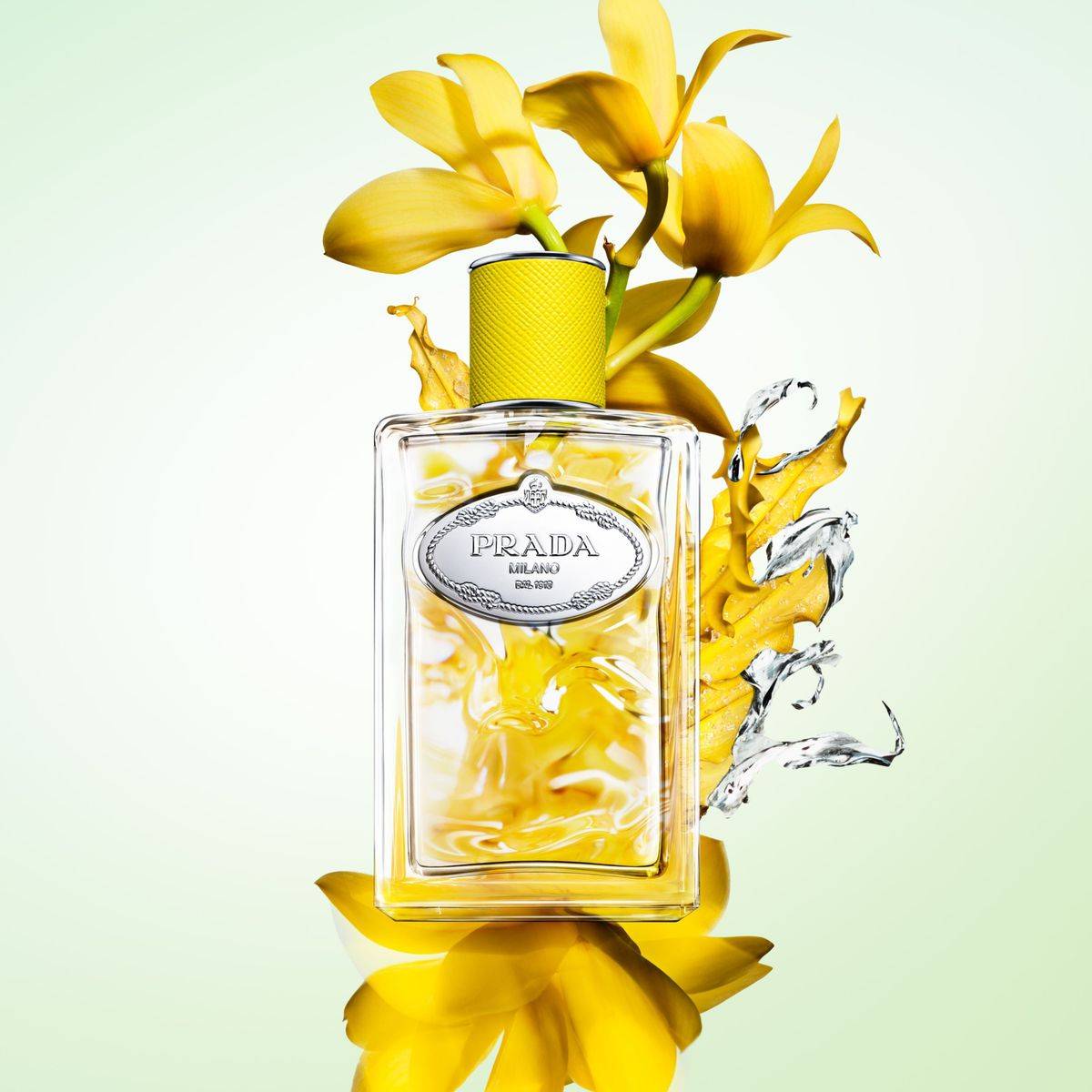 Prada Les Infusions De Ylang Eau de Parfum 100ml - Image 2